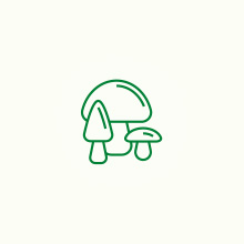 Grzyby